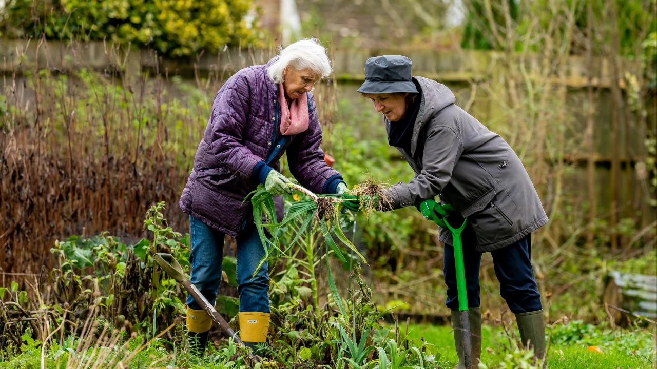 Could gardening combat onset of dementia?